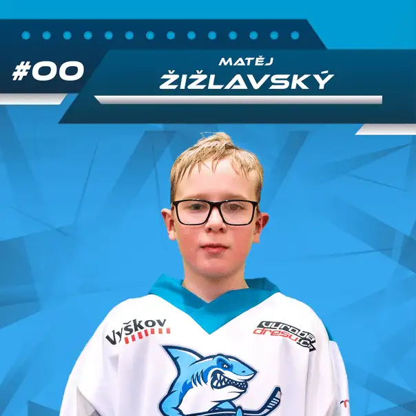 Matěj Žižlavský