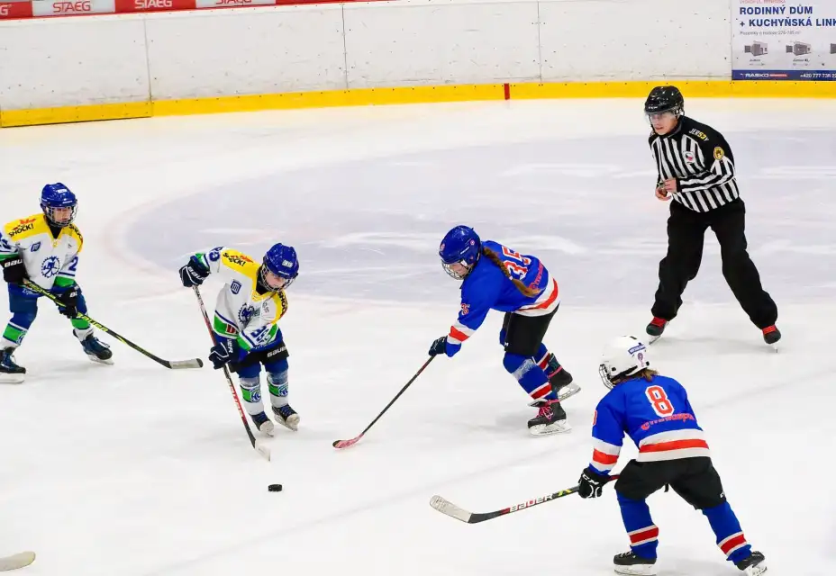 Zlatý žralok zůstal doma!!! Shark Cup 2025