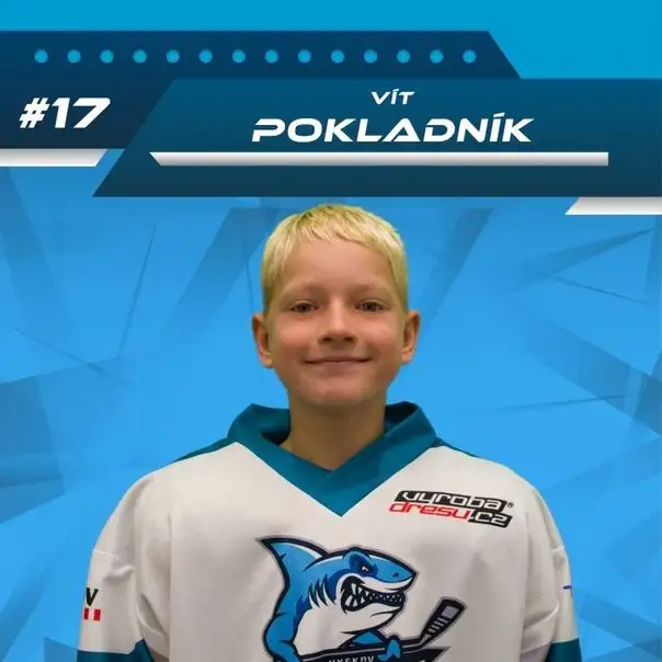 Vít Pokladník