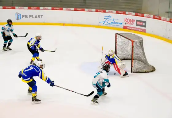 MBK Žraloci Vyškov - HC Lvi Břeclav | Mladší žáci | 4. kolo