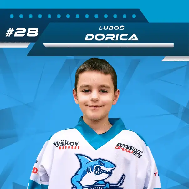Luboš Dorica