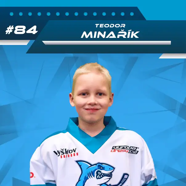 Teodor Minařík