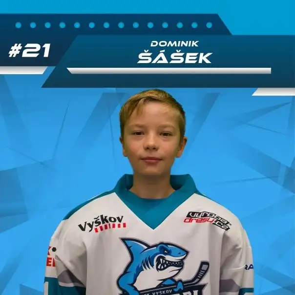Dominik Šášek