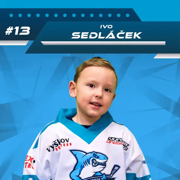 Ivo Sedláček