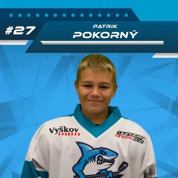 Patrik Pokorný