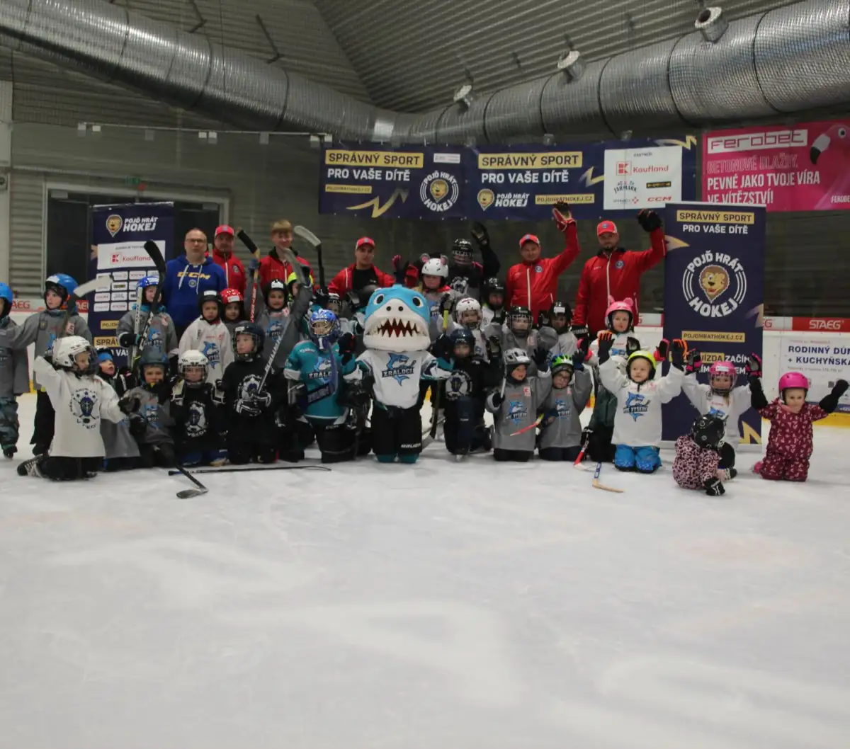 „Pojď hrát hokej“. Report z lednové akce ❄️