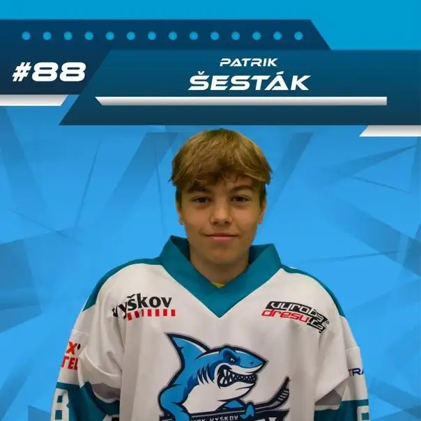 Patrik Šesták