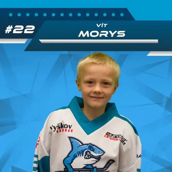 Vít Morys